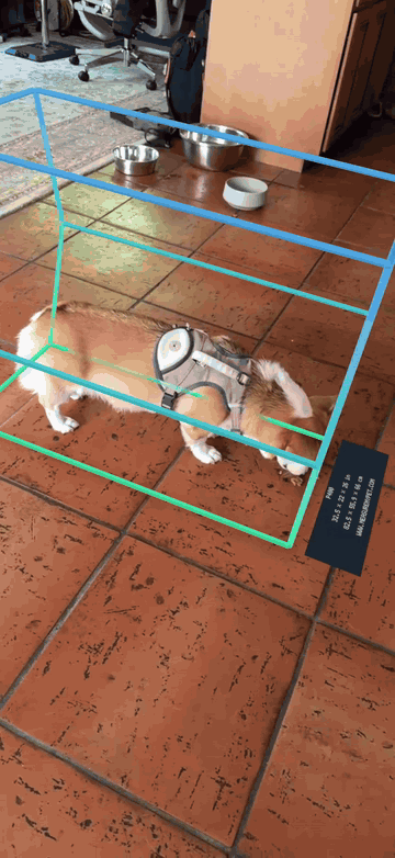 AR camera example showing a dog inside the green and blue crate outline